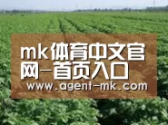 种植基地五
