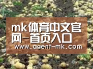 种植基地八(图1)