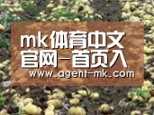 种植基地七