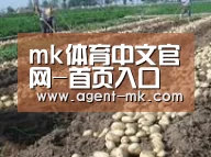 种植基地八