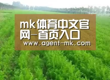 种植基地四