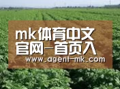 种植基地五(图1)