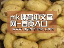 产品展示标题6