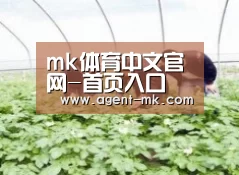 种植基地三