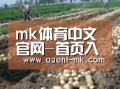 种植基地七(图1)