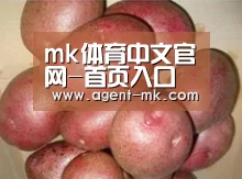 产品展示标题1