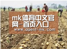 种植基地一