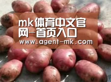 产品展示标题5(图1)