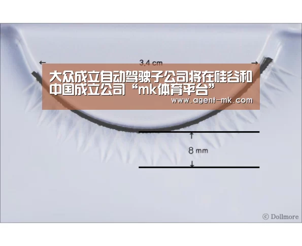 大众成立自动驾驶子公司将在硅谷和中国成立公司“mk体育平台”(图1) mk体育官网