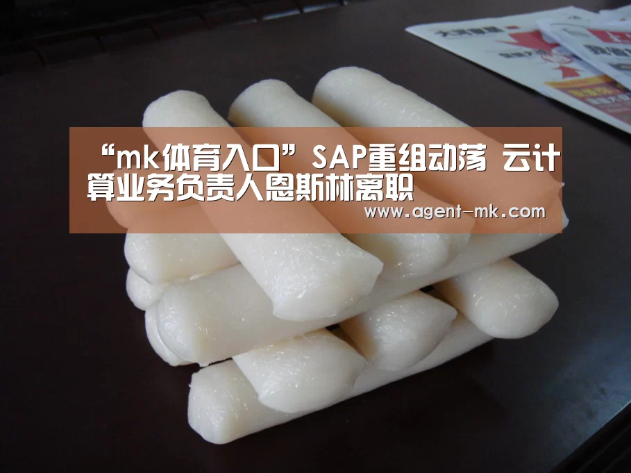 “mk体育入口”SAP重组动荡 云计算业务负责人恩斯林离职(图3) mk体育平台