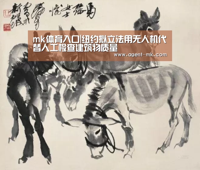 mk体育入口|纽约拟立法用无人机代替人工检查建筑物质量(图4) mk体育入口