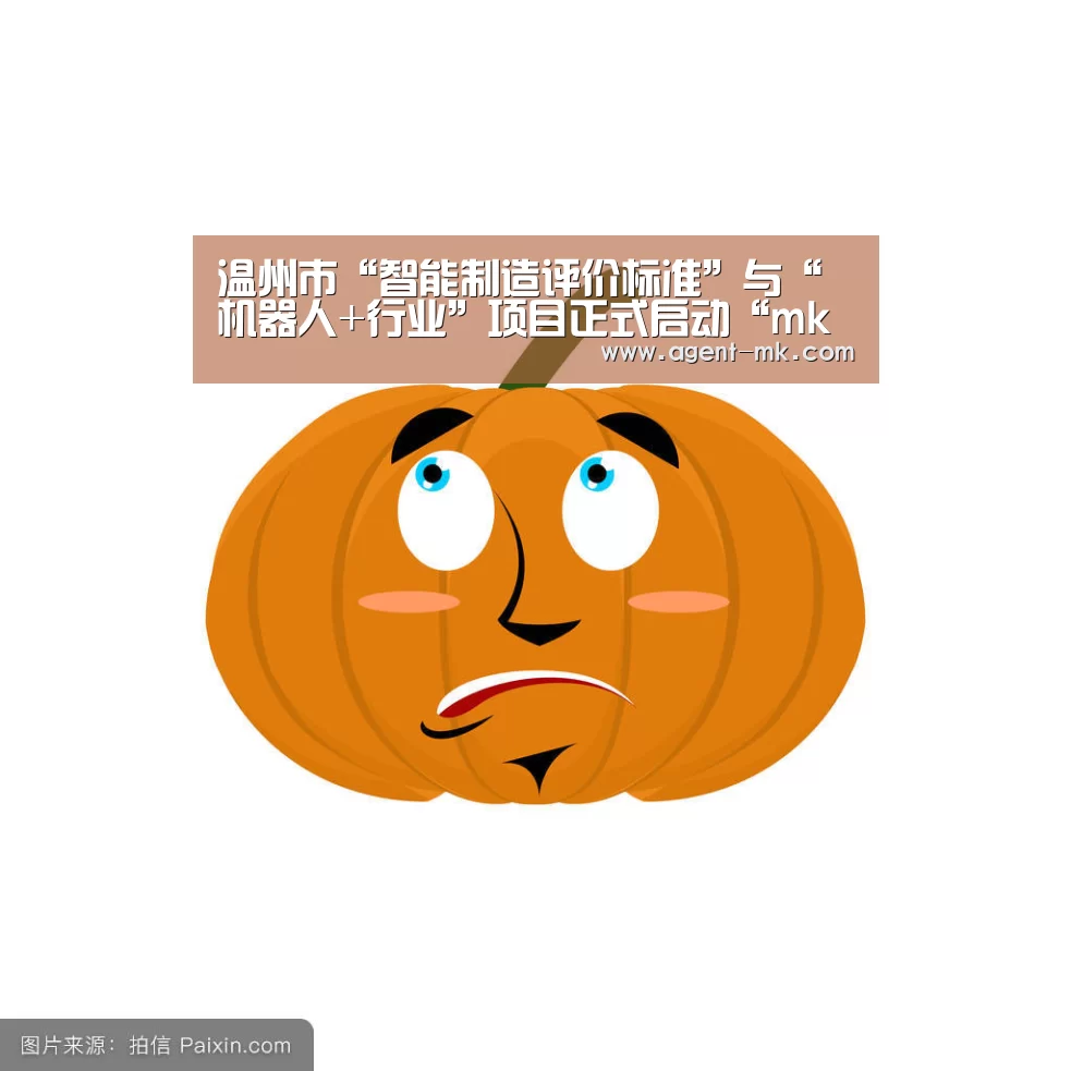 温州市“智能制造评价标准”与“机器人+行业”项目正式启动“mk体育入口”(图1) mk sports