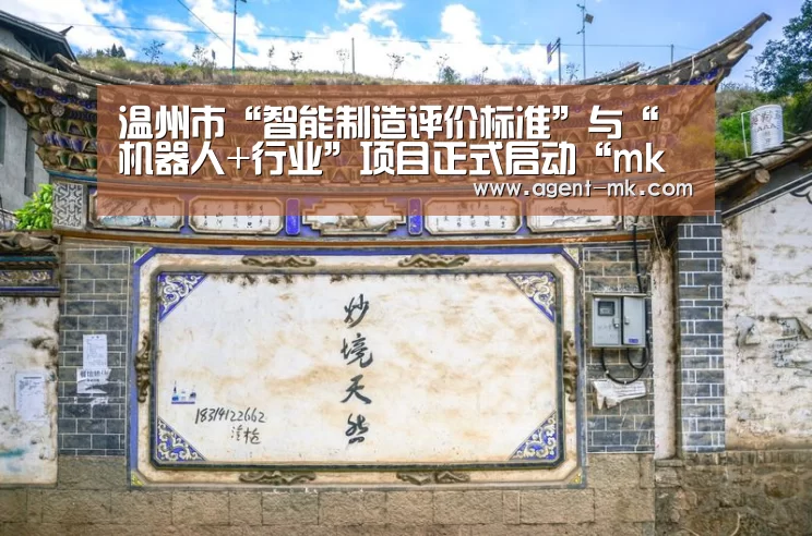 温州市“智能制造评价标准”与“机器人+行业”项目正式启动“mk体育入口”(图2) mk sports