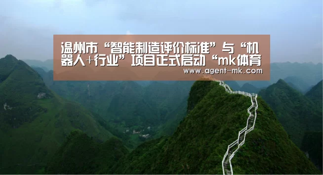 温州市“智能制造评价标准”与“机器人+行业”项目正式启动“mk体育入口”(图3) mk体育官网