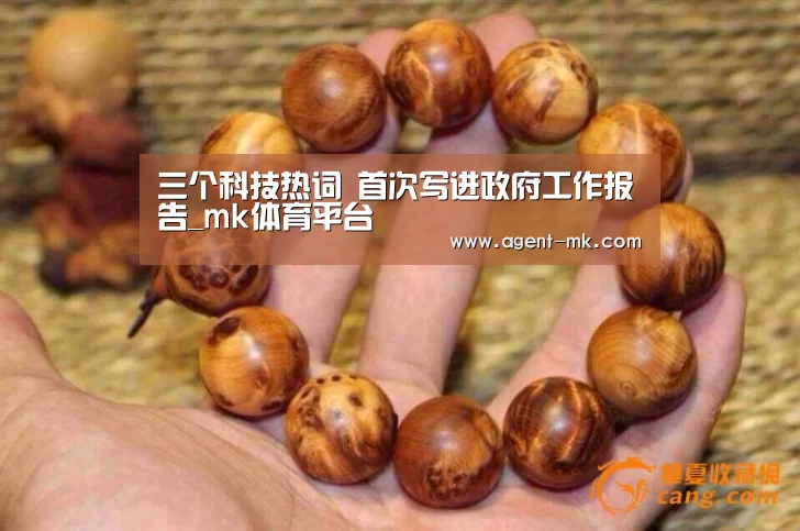 三个科技热词 首次写进政府工作报告_mk体育平台(图1) mk体育入口
