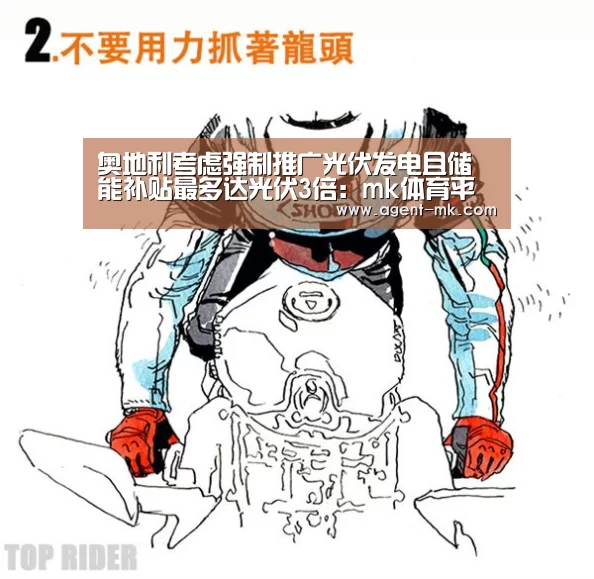 奥地利考虑强制推广光伏发电且储能补贴最多达光伏3倍:mk体育平台(图1) mk体育官网